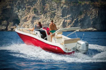 Capri Insel & Blaue Höhle Private Bootstour ab Sorrento