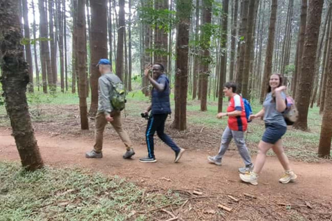Nairobi: Karura Forest & Waterfall Guided Nature Excursion.