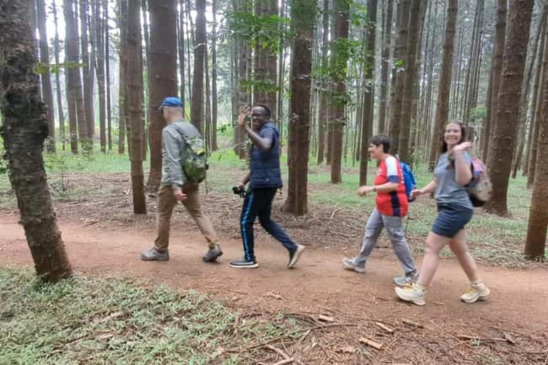 Nairobi: Karura Forest & Waterfall Guided Nature Excursion.