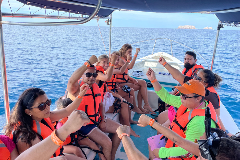 La Paz: Espíritu Santo Sea Lion Snorkel with Starlink Wi-Fi Without Pick Up and Drop Off