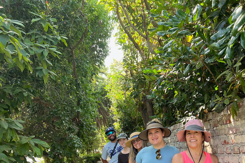 Discover Santa Monica’s Hidden Stairways & Canyon Paths