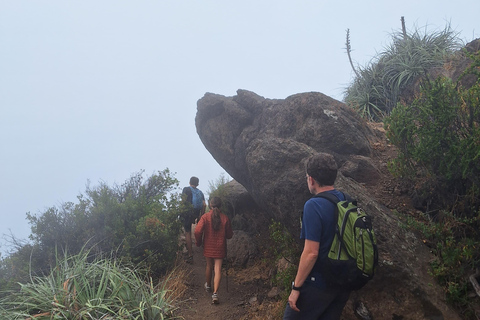 Andes Day Hike from Santiago: Summit Alto del Naranjo