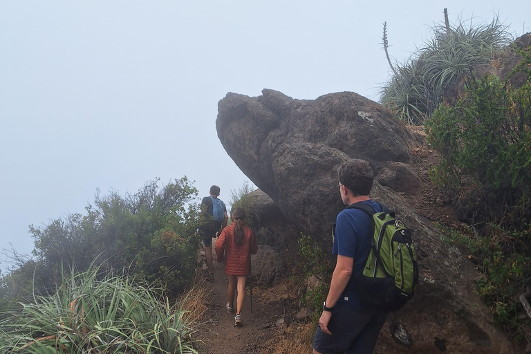 Andes Day Hike from Santiago: Summit Alto del Naranjo