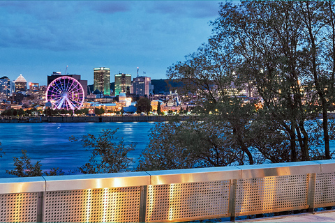 Montreal: Private City Tour by Luxury Sedan