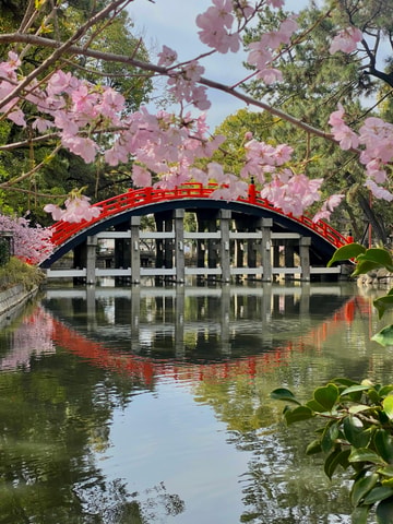 Osaka : Legends of Sumiyoshi Shrine | Include Japanese drink
