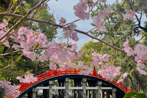 Osaka: Sumiyoshi Taisha, Sakai e tour della cerimonia del tèPranzo incluso