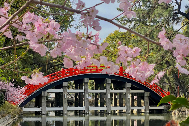 Osaka: Sumiyoshi Taisha, Sakai e tour della cerimonia del tèPranzo incluso