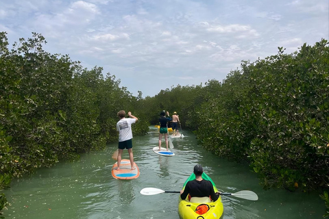 Somone: Guided Group Canoe Tour through the Mangroves Canoe 1 seat