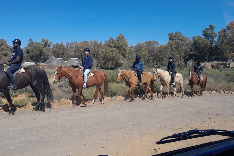 Ciudad del Cabo: safari Aquila de los cinco grandes con transporte y almuerzo