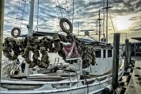 Tarpon Springs: Sponge Dock Stroll