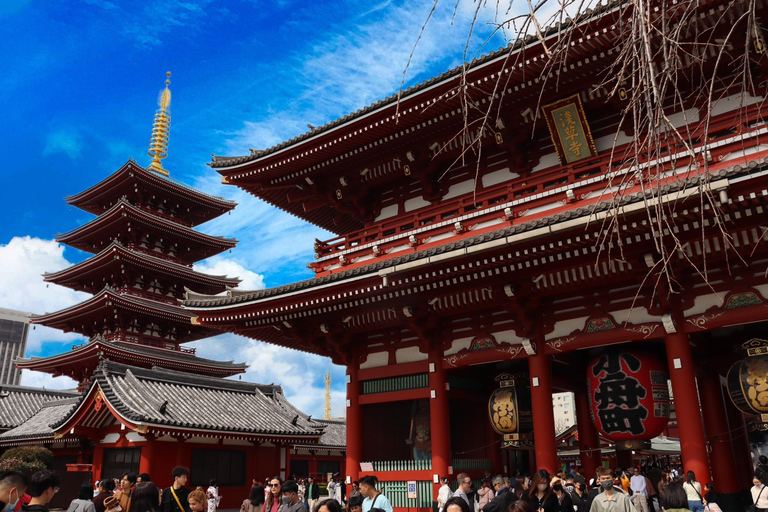 Tokyo Morning Highlights: Shibuya, Asakusa, Meiji-SchreinPrivate Tour