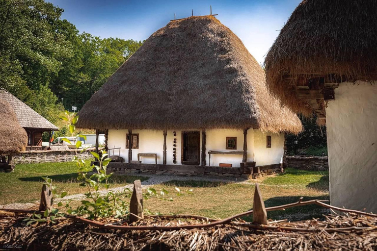 Brașov: Dumbrava Sibiului Museum & Sibiu Day Trip