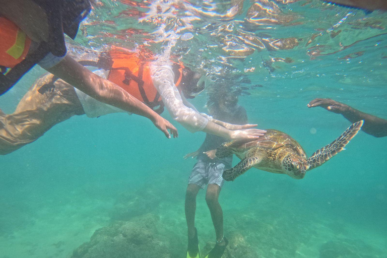 Mirissa: Thalaramba Beach Snorkeling Tour with Sea Turtles