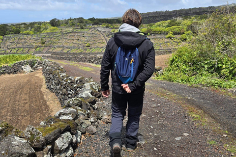 Breathe in Pico — Hike & Meditation