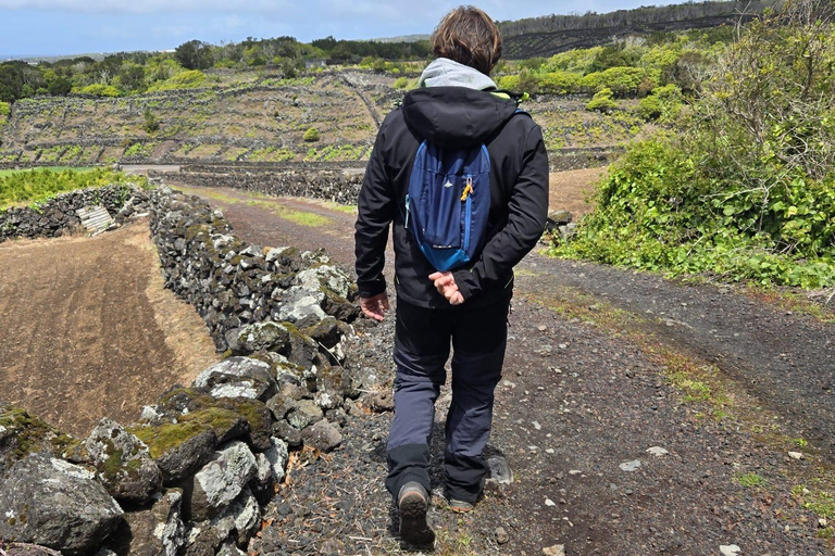 Breathe in Pico — Hike & Meditation
