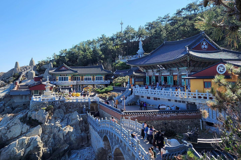 Busan : visite d&#039;une jounée Les activités incontournables à BusanBusan : visite d&#039;une jounée Activités incontournables à Busan