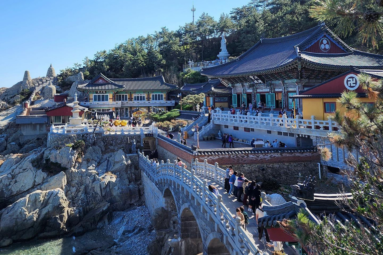 Busan : visite d&#039;une jounée Les activités incontournables à BusanBusan : visite d&#039;une jounée Activités incontournables à Busan