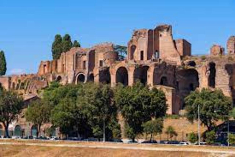 Rome: Colosseum, Roman forum & palatine hill private tour Colosseum , Roman forum & palatine hill private tour