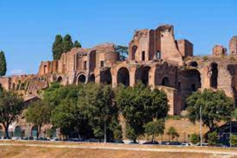 Rome: Colosseum, Roman forum & palatine hill private tour Colosseum , Roman forum & palatine hill private tour