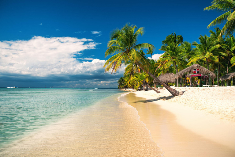 From Santo Domingo: Saona Island Catamaran FullDay & Lunch