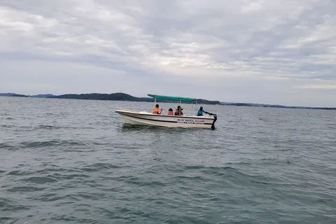 Trincomalee: Whales & Dolphin Watching Tours