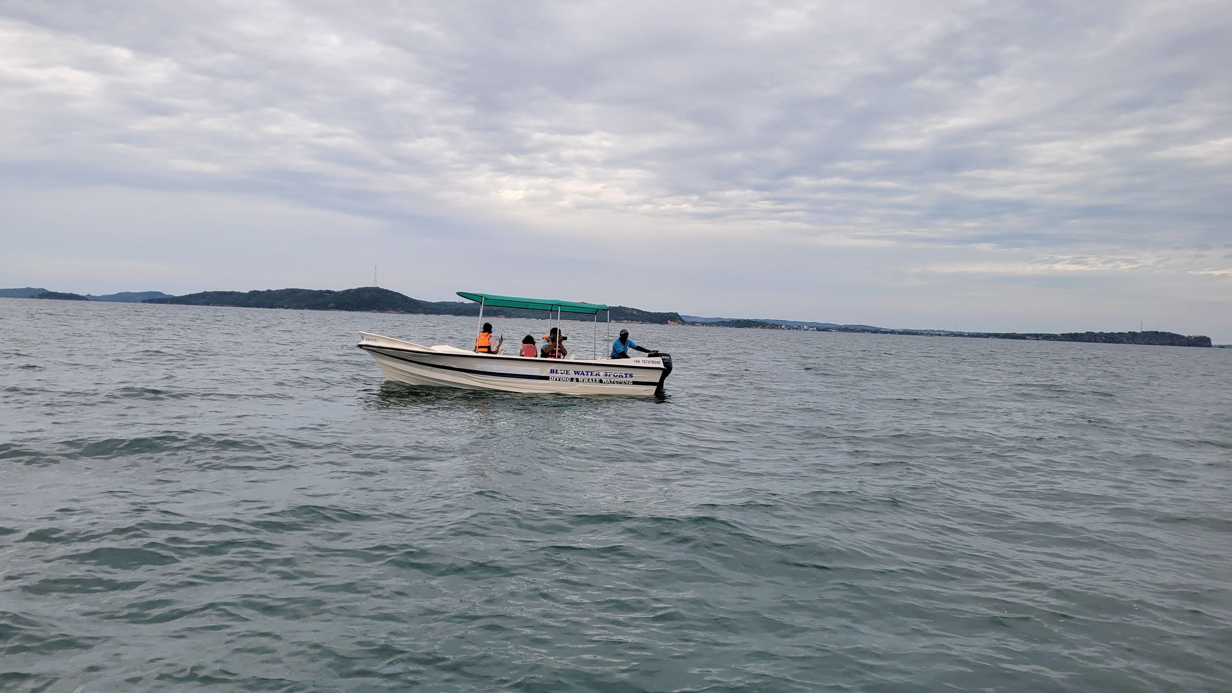 Trincomalee: Whale & Dolphin Watching Tours