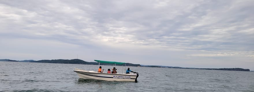 Trincomalee: Whales & Dolphin Watching Tours