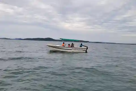 Trincomalee: Whales & Dolphin Watching Tours