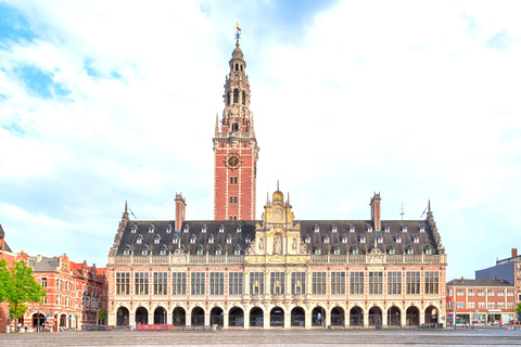 Leuven: Express Walk with a Local in 60 minutes 60 min - Private Tour