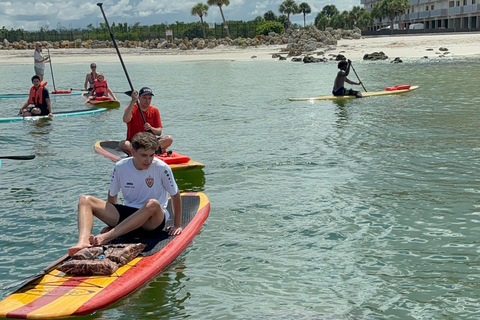 Tour d'avventura con delfini, lamantini e tartarughe marine a Bonita Springs!
