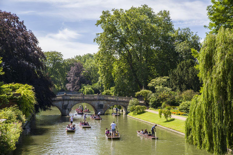 Från London: Cambridge &amp; medeltida England Tur i liten grupp