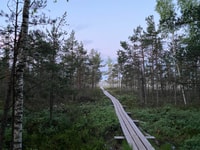 From Riga, Trip to Kemeri National Park & Jurmala - Housity