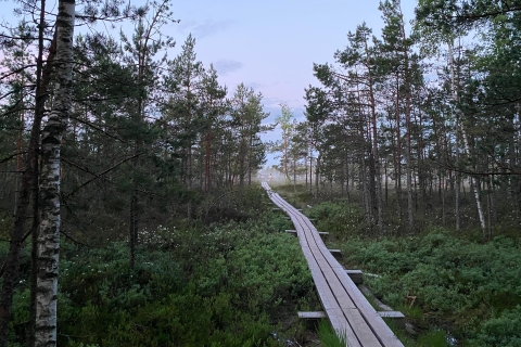 Desde Riga: Viaje al Parque Nacional de Kemeri y Jurmala