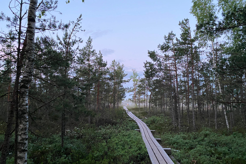 De Riga: Viagem ao Parque Nacional Kemeri e Jurmala