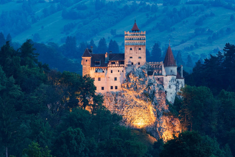 From Brașov: Bear Sanctuary, Dracula's Castle & Peleș Castle