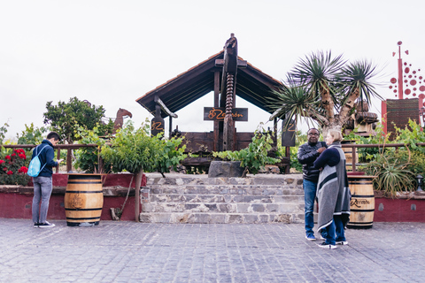 Teide: Tour bei Nacht mit Abendessen und Sternenhimmel