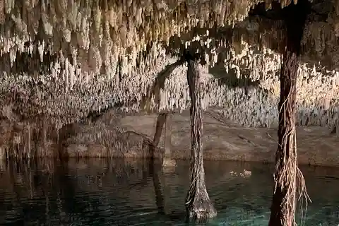 Riviera Maya: Cenotes & Jungle Gay Adventure