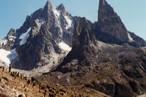 Nairobi: 5-Day Mount Kenya Climbing Tour via Sirimon Route