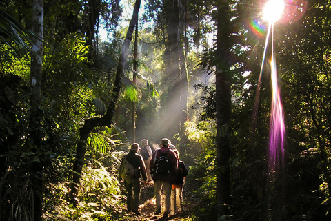 5-tägige Iguazu-Fälle: Dschungel-Lodge &amp; Flugticket von Buenos AiresMit Flugpreis