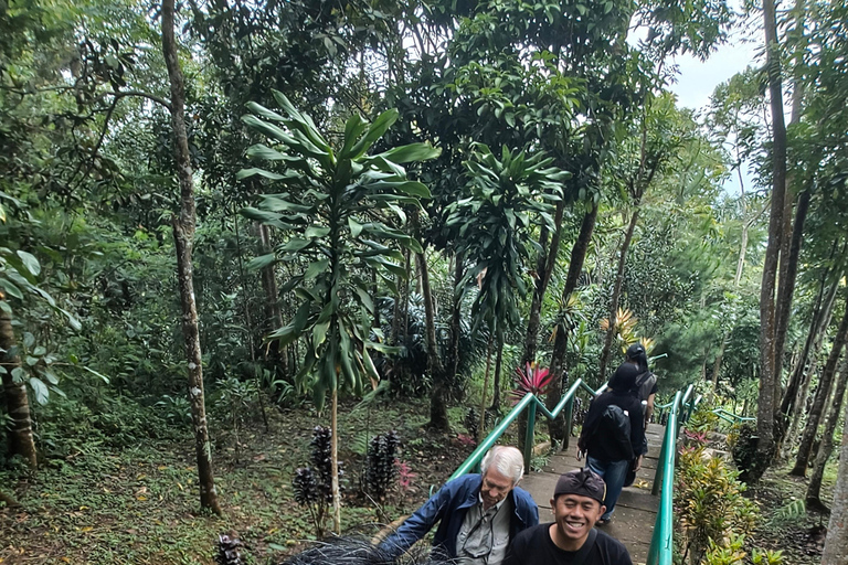 Jakarta: Explore Gunung Padang Archaeological Site Tour