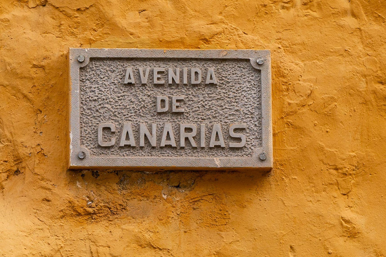 Balades Découverte Teide - La Orotava - Icod de los Vinos