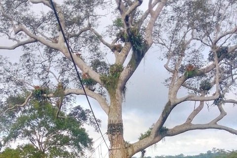 Assin Manso Slave River, Cape Coast Castle and Kakum Tour