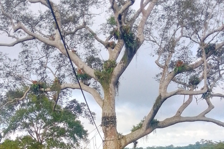 Assin Manso Slave River, Cape Coast Castle and Kakum Tour