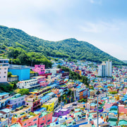 Busan: Hidden Gems, Beaches and Local Food Private Tour Busan: Hidden Gems, Beaches and Local Food Private Tour