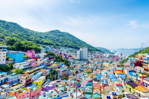 Busan : visites privées des joyaux cachés, des plages et de la gastronomie localeBusan: Hidden Gems, Beaches and Local Food Private Tour