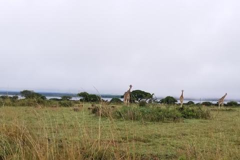 Desde Kampala: Safari de 3 días a las cataratas Murchison con excursión a los rinocerontes