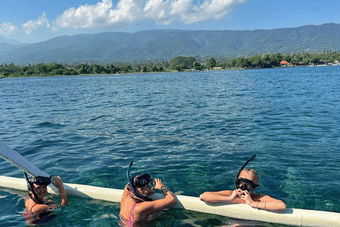 Bali: Dolphin Swimming Tour with ATV Quad Bike & Waterfall Dolphin, Waterfall, Tandem ATV Bike (Central & South Bali)