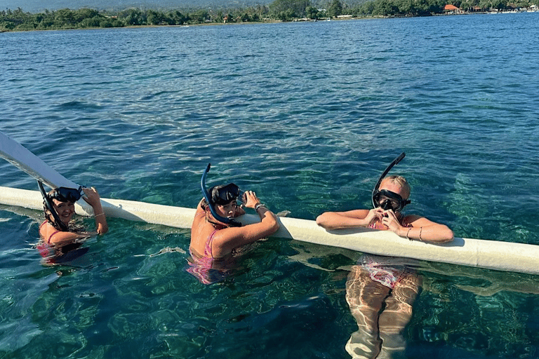 Bali: Dolphin Swimming Tour with ATV Quad Bike & Waterfall Dolphin, Waterfall, Tandem ATV Bike (Central & South Bali)