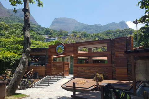 Rio de Janeiro: Paragliding-upplevelse på Pedra Bonita