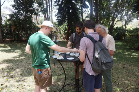 From Nairobi: Tea and Coffee Farm Tour with Tastings
